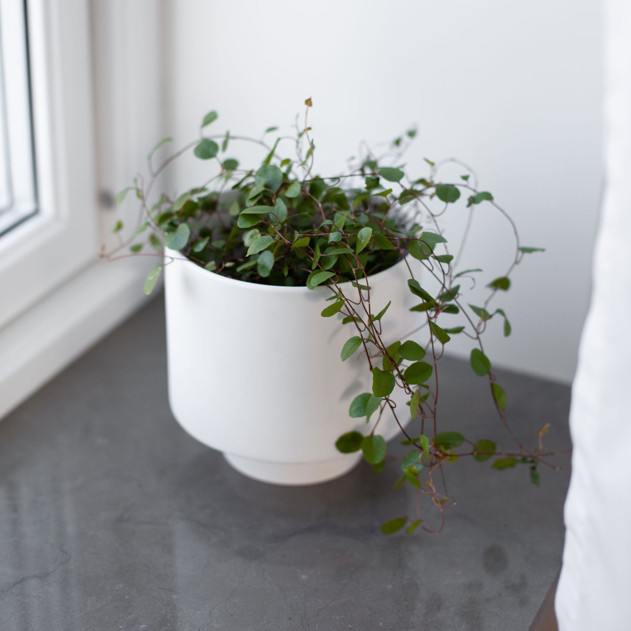 Valge lillepott Kiaby