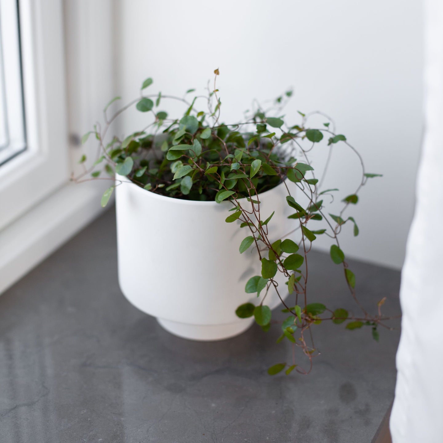 Valge lillepott Kiaby